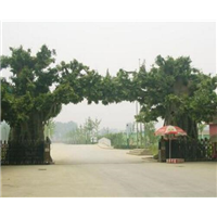 深圳假山塑石h深圳假山塑石设计