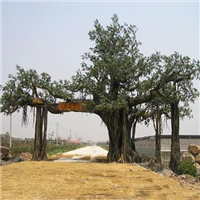 深圳塑石假山h深圳塑石假山设计