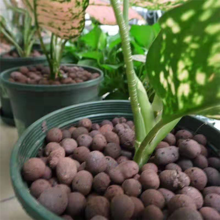 江西建筑陶粒销售