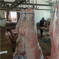 健康肉放心肉干净实惠肉羊