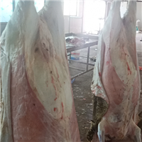 放心实惠吃好肉肉羊