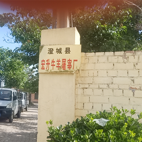 企业挂牌