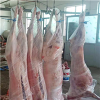 农家自养肉羊放心吃好肉