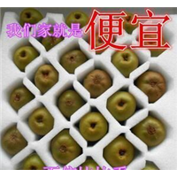 珍珠棉水水果托