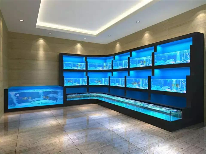 合肥海鲜池制作