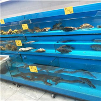 合肥酒店海鲜池