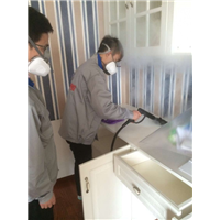 广元除甲醛公司电话多少
