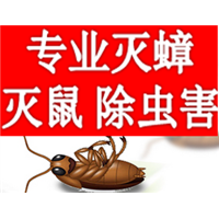 聊城灭蚂蚁饭厅杀虫