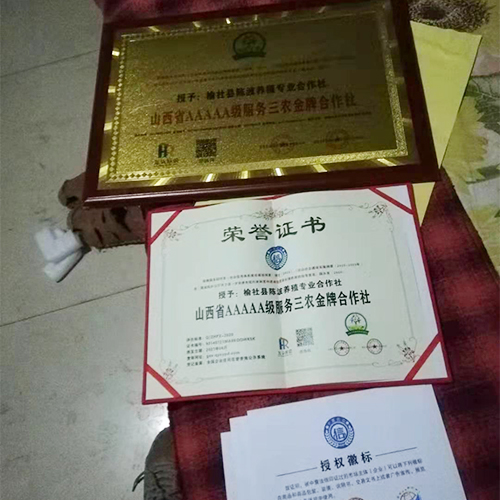 荣誉证书