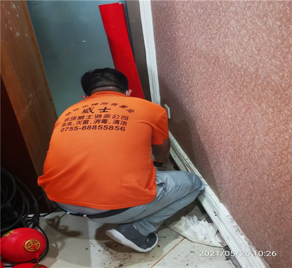 深圳龙岗区灭鼠