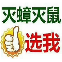 南山区灭老鼠公司哪家好