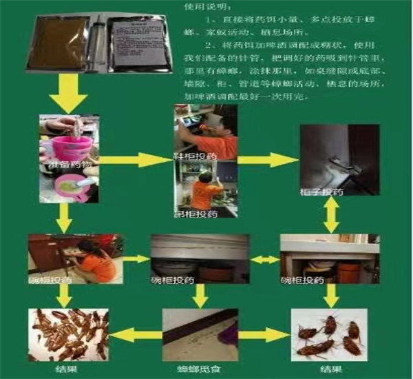 深圳龙岗区臭虫防治