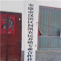 生猪养殖