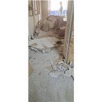 温州建筑物拆除