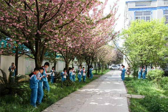 贵阳私立小学一个学期学费多少