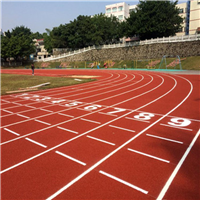 河北全塑型跑道