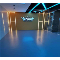 乌鲁木齐舞蹈室地板