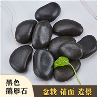 广州鹅卵石供应商