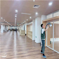 湖州织里碧桂园黄金时代除甲醛