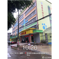 钦州除甲醛