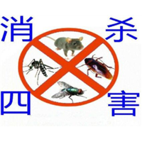淮北消杀灭鼠公司