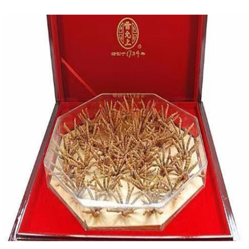 揭阳虫草回收