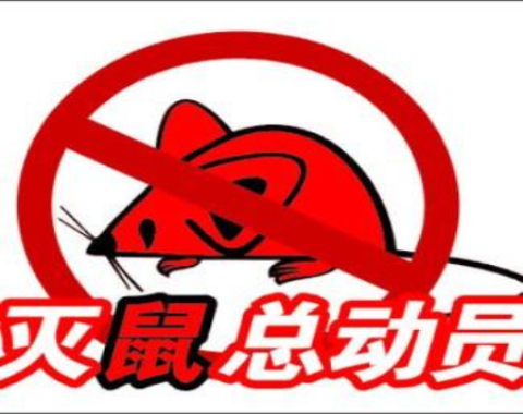 蕲春灭老鼠公司电话，蕲春专业除蟑螂