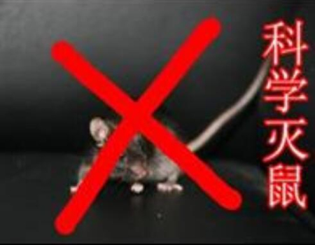 蕲春灭老鼠灭蟑螂公司，蕲春除四害
