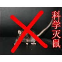 蕲春灭老鼠灭蟑螂公司，蕲春除