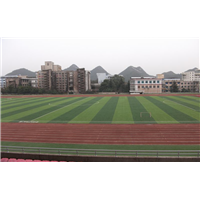昌黎PVC地板施工