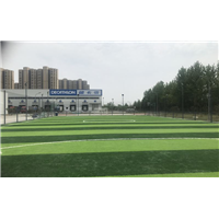 容城PVC地板厂家