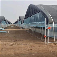 临沂林蛙养殖基地