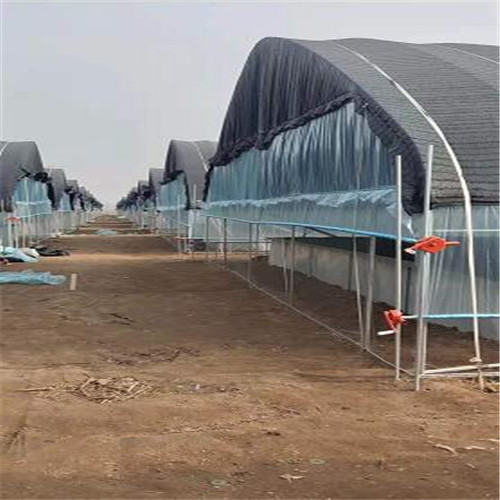 临沂林蛙养殖基地