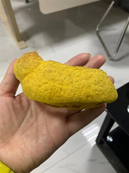 广西台湾黄金芝供应