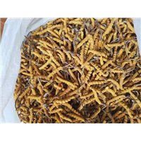 苏州礼品回收