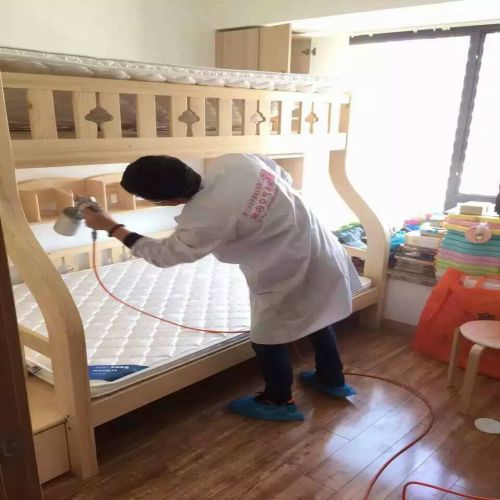 丹东除甲醛公司是做什么的有用吗
