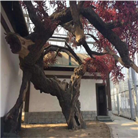 酒泉室内仿真树造景h定西室内