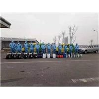 枣庄除四害
