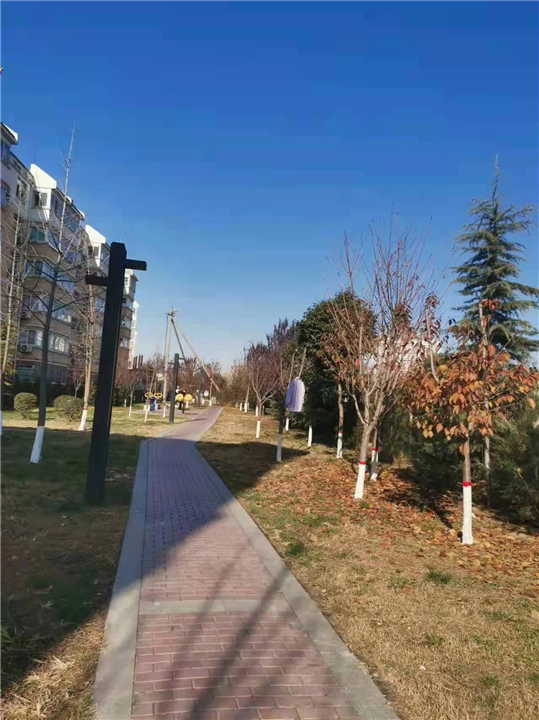 陕西德垒卓泰建筑工程有限公司