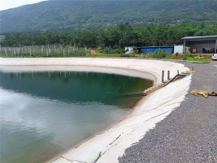 红河县水池防渗膜