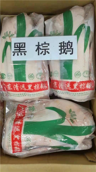 黑棕鹅