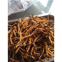 南通礼品回收