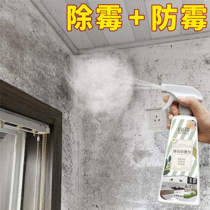 宁波除霉公司