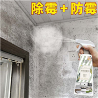 宁波除霉公司
