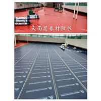 佛山市顺德区专业的防水补漏哪家有实力价格实惠