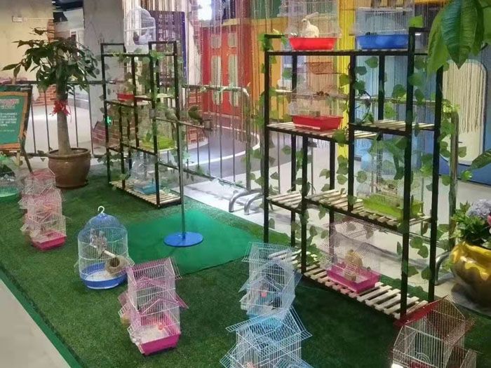 百鸟展租赁