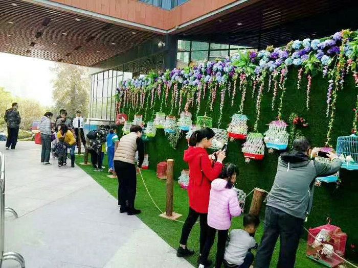 百鸟展租赁