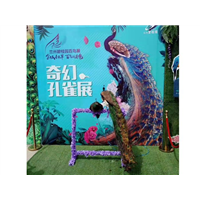 百鸟展租赁