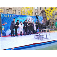 海狮表演租赁