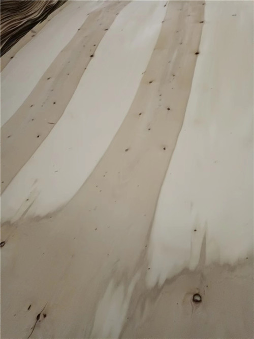 临沂杨木漂白价格